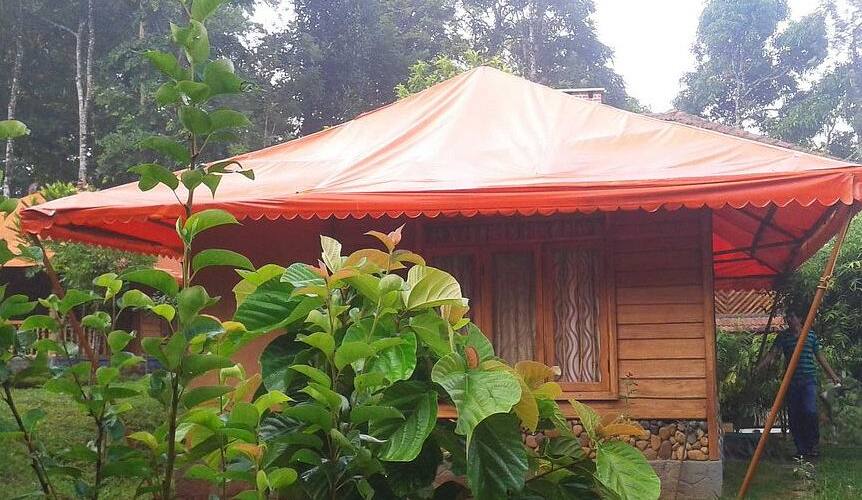 Pugmarks Jungle Lodge, Wayanad 4